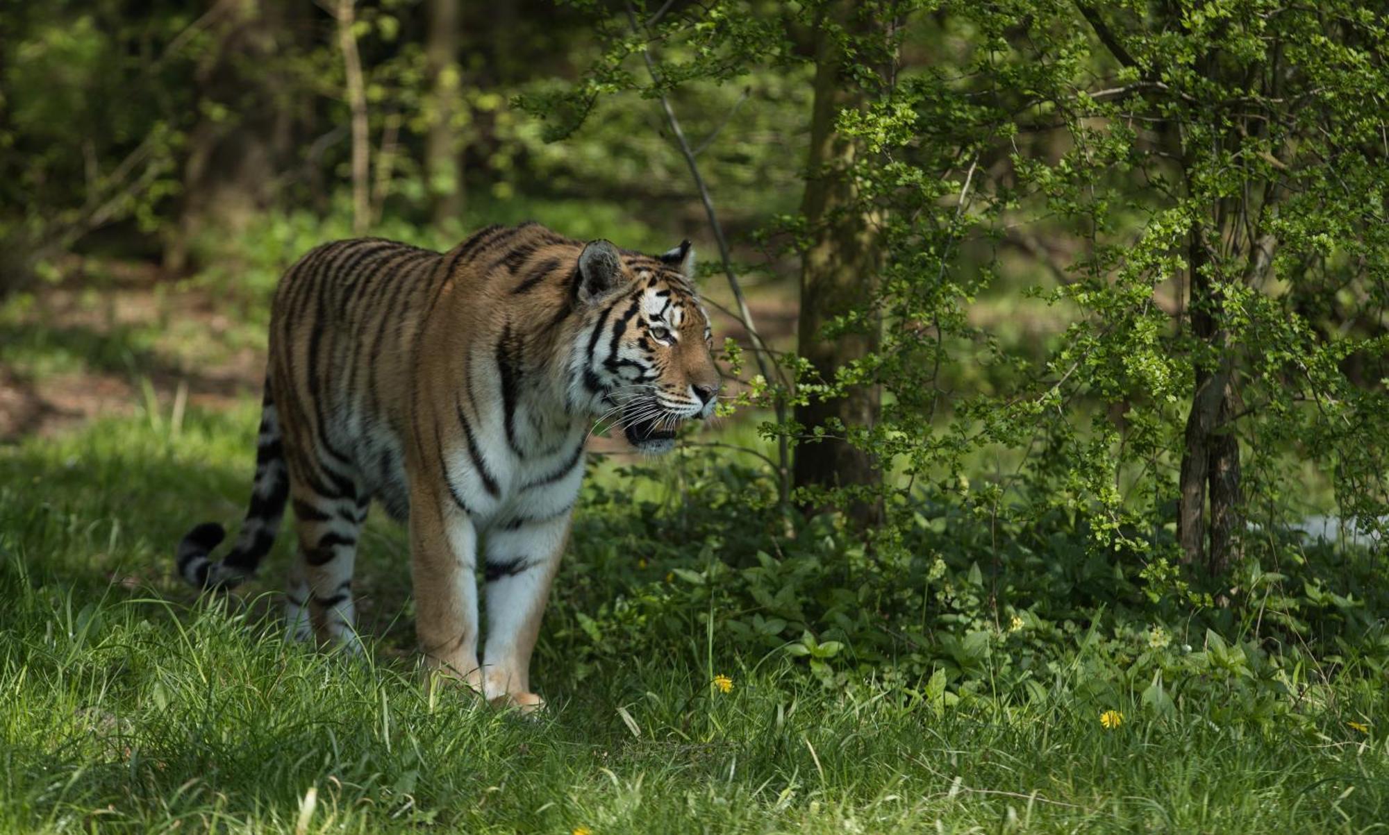 Hotel Knuthenborg Safaripark Maribo Exterior foto