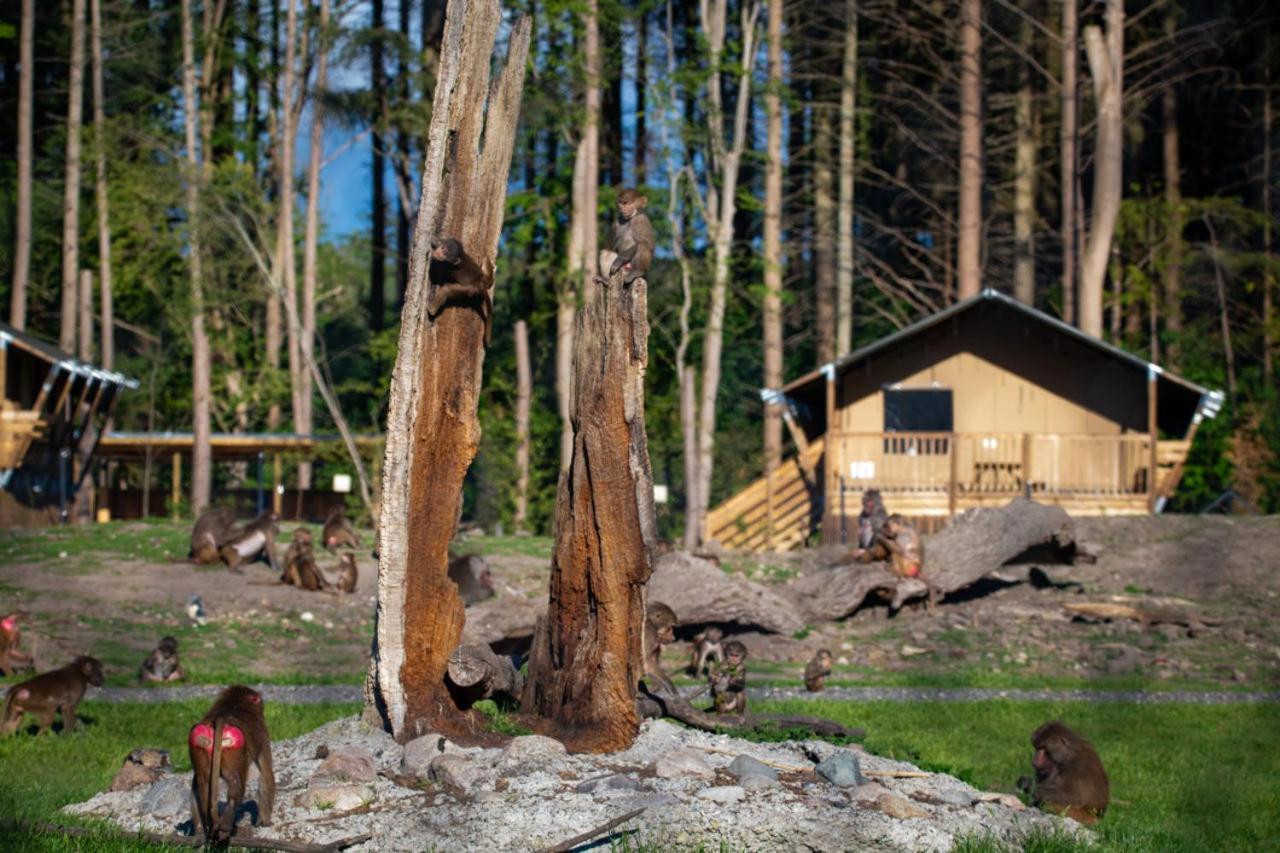 Hotel Knuthenborg Safaripark Maribo Exterior foto