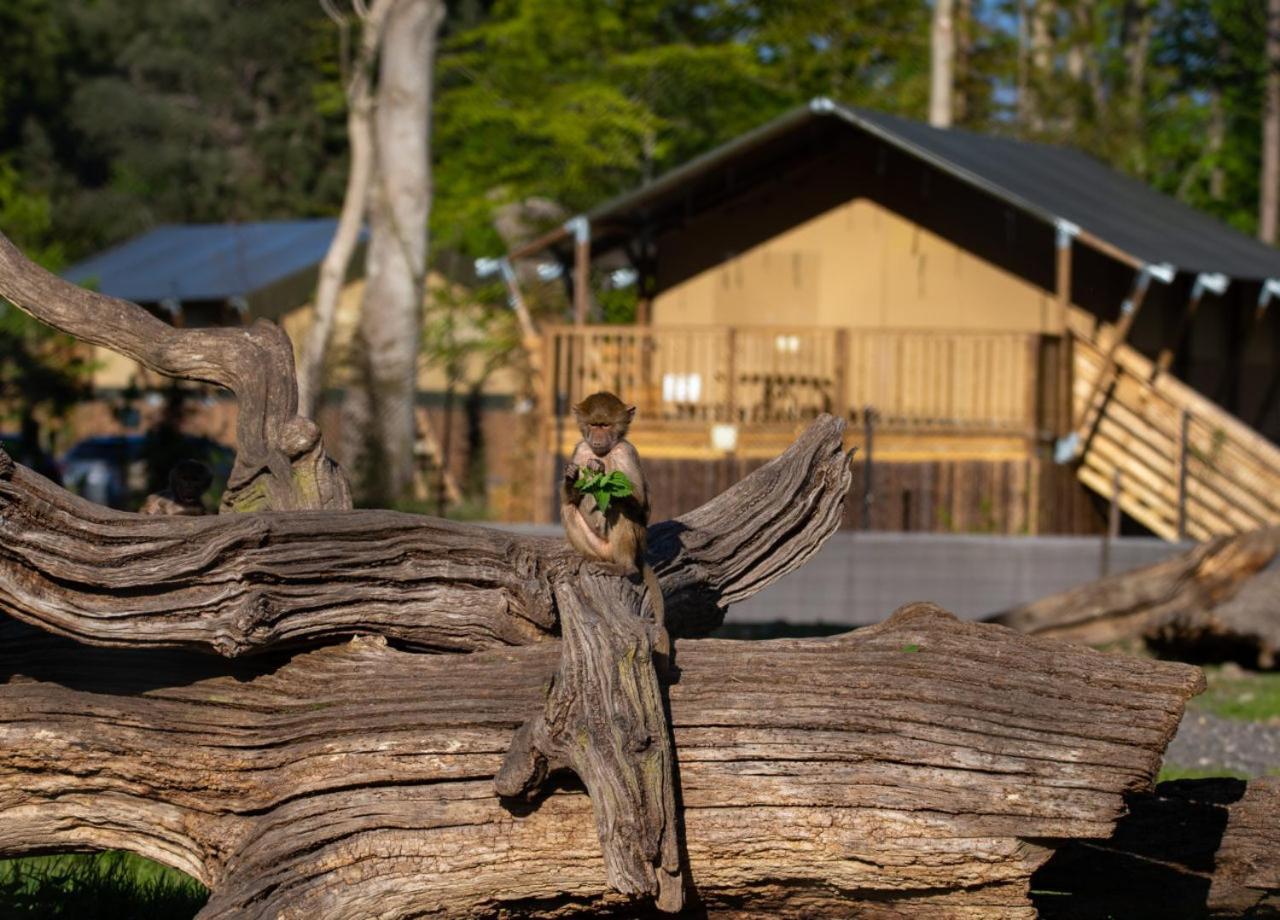 Hotel Knuthenborg Safaripark Maribo Exterior foto