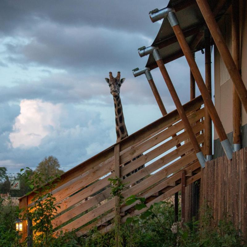 Hotel Knuthenborg Safaripark Maribo Exterior foto